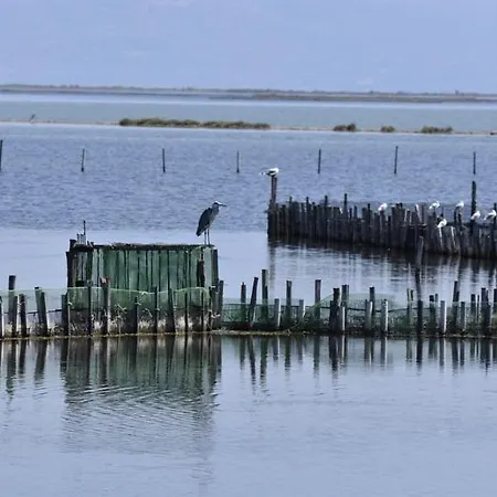 Anna's House 아파트 *