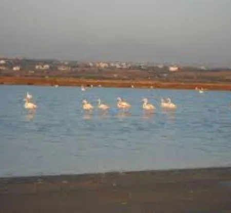 Anna's House Апартаменты Эпаноми