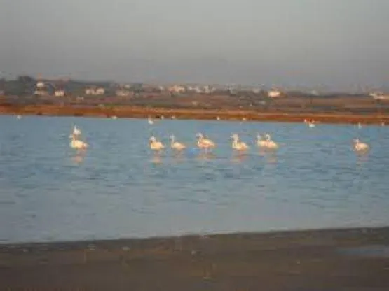 Anna's House 公寓 埃帕诺米